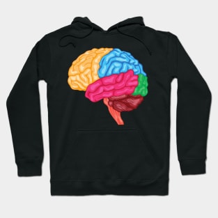 Human brain Anatomy Hoodie